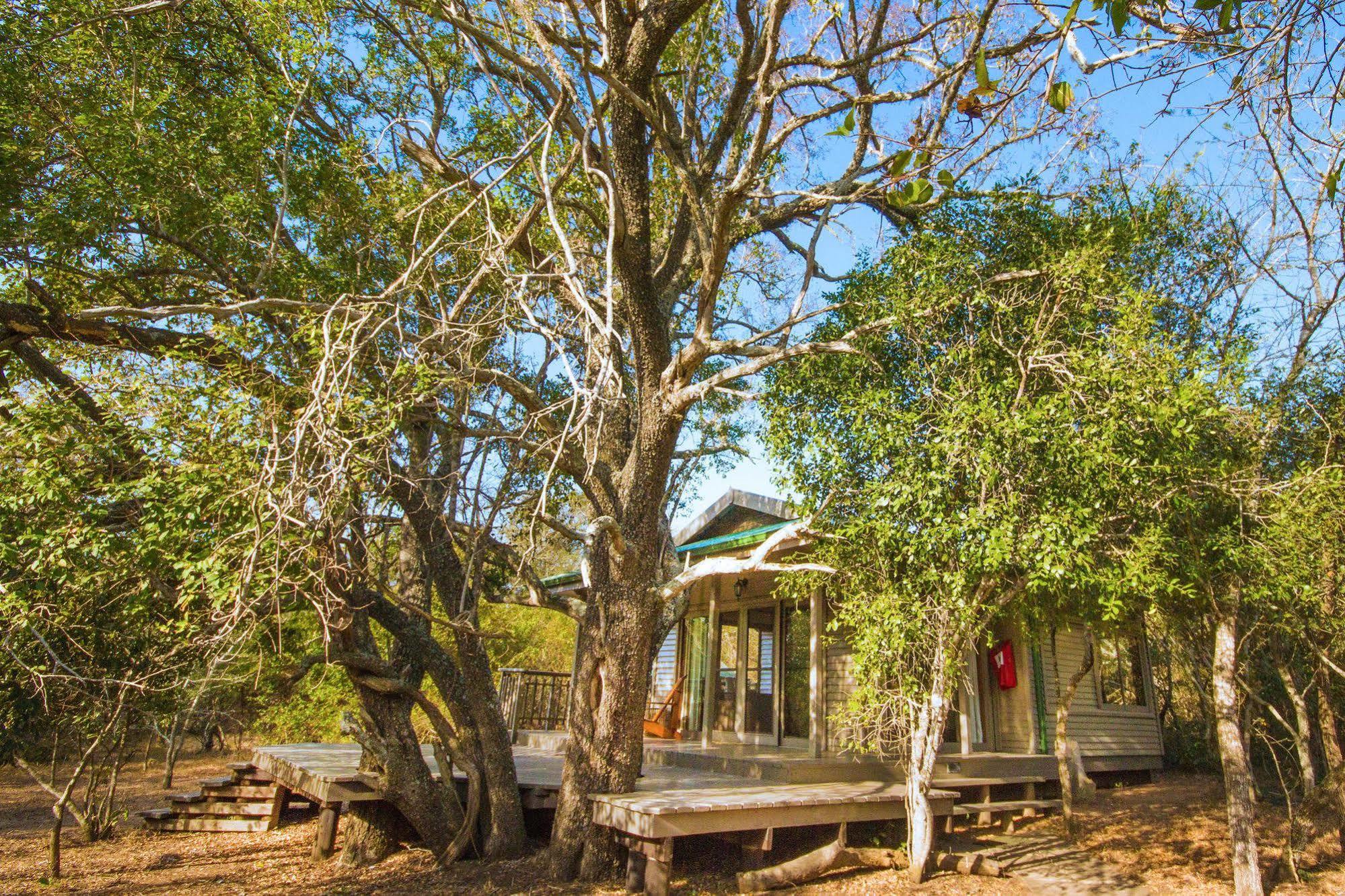 Thornwood Villa Хлухлуве Екстериор снимка